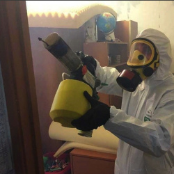 Уничтожение клопов в квартире. Усмань